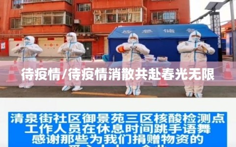 待疫情/待疫情消散共赴春光无限